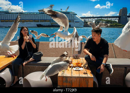 Bars und Restaurants an der Promenade Circular Quay der Harbour Bridge in Sydney, Australien Stockfoto