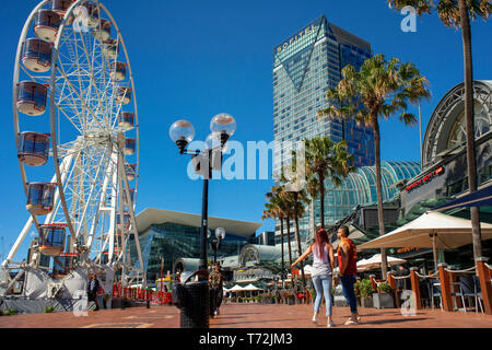 Riesenrad in das Harbourside komplex - eine beliebte Einkaufsstraße mit Restaurants und Hotels in Darling Harbour. Sydney, New South Wales, AUSTRAL Stockfoto