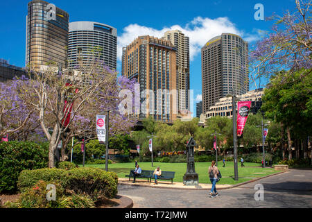 Erste Flotte Park im Viertel The Rocks am Circular Quay in Sydney in New South Wales, Australien Stockfoto