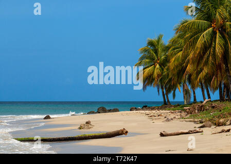 Boote und Palmen am Strand, Corn Island, Karibik, Nicaragua, Mittelamerika, Nordamerika. Stockfoto