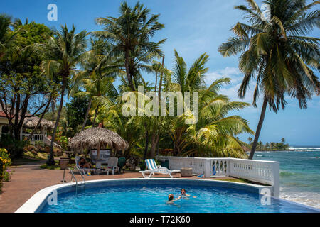 Infinity Pool eine Palme im Casa Canada Hotel auf Big Corn Island, Nicaragua, Mittelamerika Stockfoto
