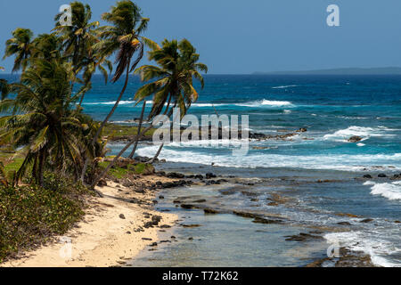 Wilde Strände in Big Corn Island, Karibik, Nicaragua, Mittelamerika, Nordamerika. Stockfoto