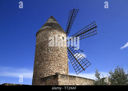 Alte Windmühle in Sineu, Mallorca, Spanien Stockfoto