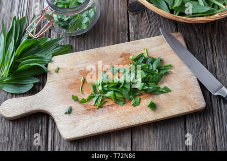 Schneiden von frischen Spitzwegerich Blätter, Kräuter Sirup gegen Husten vorzubereiten Stockfoto