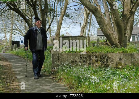 Ein alter Mann zu Fuß durch ein Kirchhof in der Frühlingssonne. Stockfoto