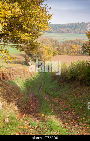 Alten Track im Goldenen Tal im westlichen Herefordshire, England. Das Tal ist eine malerische Gegend von sanften Hügeln rund um den Fluss Dore. Stockfoto