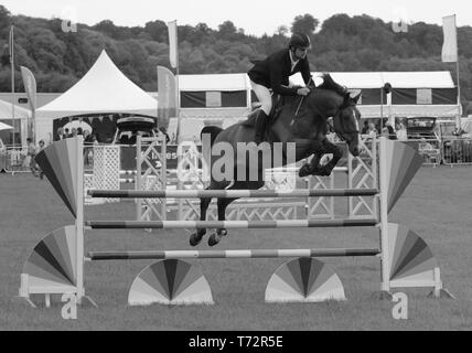 Springreiten. Stockfoto