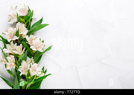 Zarten Blüten von Alstroemeria Stockfoto