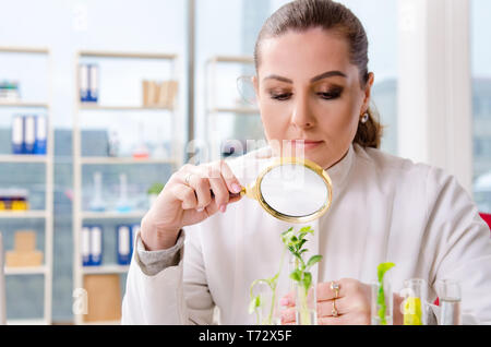 Weibliche Biotechnologie Wissenschaftler Chemiker im Labor arbeiten Stockfoto