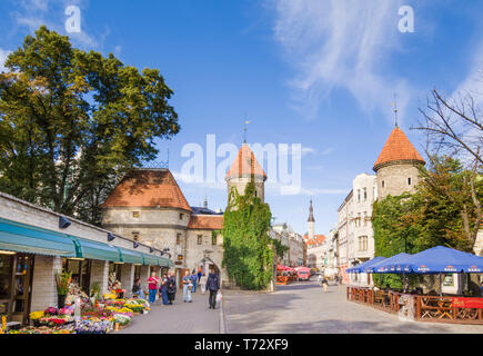 Menschen, die außerhalb der Stadtmauern der Altstadt Viru Tor Verteidigung Türme und Altstadt Cafe und Marktstände alte Stadtmauer Estland EU Europa Stockfoto