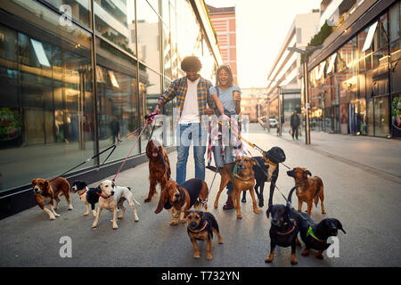 Lächelnd Professionelles Ehepaar Dog Walker in der Straße mit vielen Hunden Stockfoto