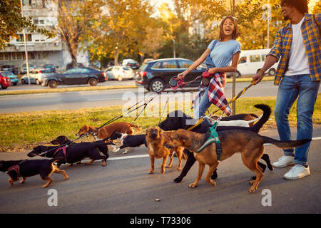 Professionelles Ehepaar hund Wanderer mit Hunden genießen in Spaziergang im Freien. Stockfoto