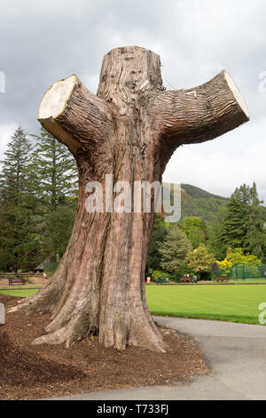 Abgeschnittenen Baumstamm in Fitz Park Keswick, Cumbria, England, Großbritannien Stockfoto