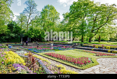 Spring Blossom In Cannizaro Park Wimbledon Surrey UK Stockfoto