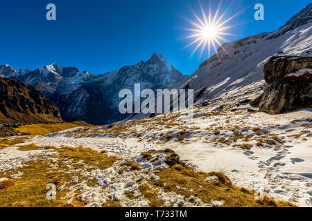 Erstaunlich Sonnenaufgang Blick, von Annapurna Base Camp auf dem Weg Fishtail base camp. Nepal Stockfoto