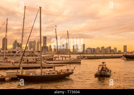 DOWNTOWN SKYLINE JERSEY CITY NEW JERSEY VON WORLD TRADE CENTER MARINA DOWNTOWN MANHATTAN NEW YORK CITY USA Stockfoto