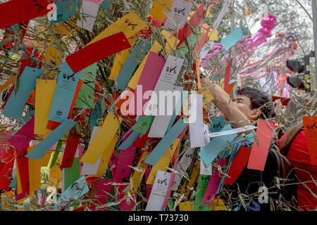 Brasilianer feiern die Tanabata Matsuri in Sao Paulo. Stockfoto