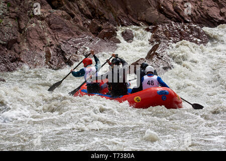 Rafting Wettbewerb. Interrally Belaja 2019. Iner Rally 2019 Russland Adygeja 05 02 2019 Stockfoto