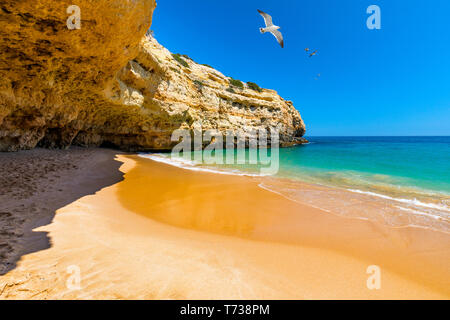 Praia de Albandeira, schöne Küste und Strand der Algarve, Portugal. (Strand) Praia de Albandeira, Algarve, Albufeira, Portugal. Stockfoto