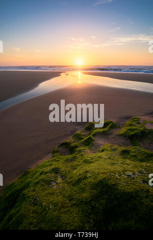 Sonnenuntergang am Strand, Moos auf den Steinen am Strand an der Algarve, Portugal. Schöne Rock Beach mit grünem Moos und seascape Sonnenuntergang. Rock, die unter die Stockfoto