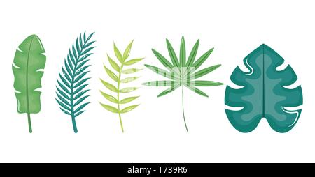 Eingestellt von treibt Palmen, tropischen Symbole Vector Illustration Design Stock Vektor