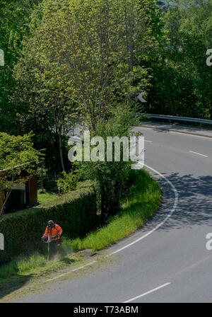 Ein stadtarbeiter Clearing am Straßenrand von Gras und Unkraut mit einem weed Eater Stockfoto