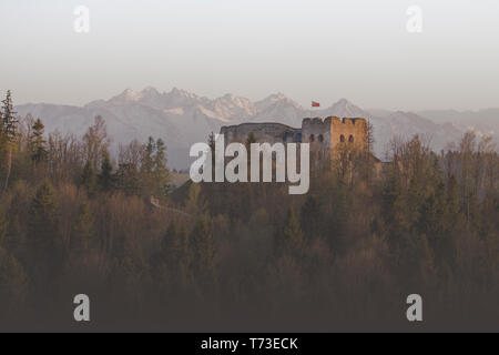 Ruine einer gotischen Burg aus dem 14. Jahrhundert, gelegen auf einem Hügel, Czorsztyn, Polen Stockfoto