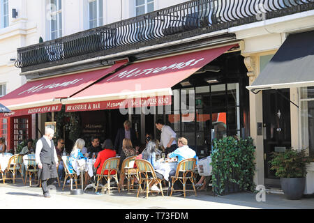 Motcombs Bar & Brasserie auf stilvolle Motcomb Street, in Belgravia, London SW1, UK Stockfoto