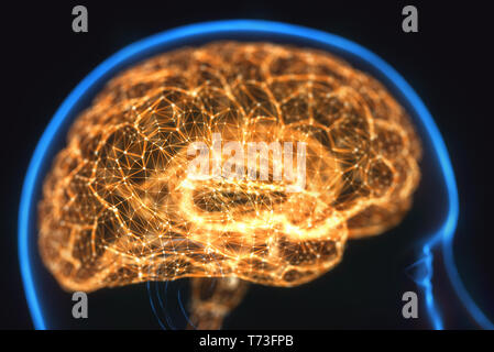 3D-Darstellung. X-ray des Kopfes und des menschlichen Gehirns im Konzept der neuronalen Verbindungen und elektrische Impulse. Stockfoto