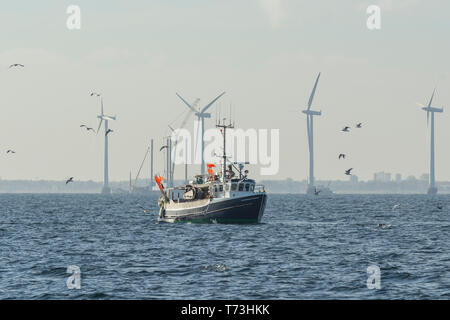 Fischerboot von Möwen mit Windkraftanlagen im Hintergrund umgeben Stockfoto