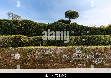 Sata Naotada's Garden, chiran Samurai Residence Garden, Minami Kyushu Stadt, Kagoshima Präfektur, Japan Stockfoto