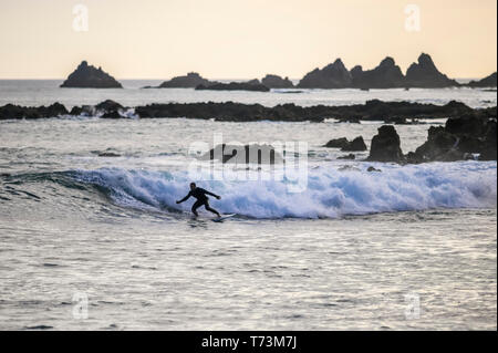 Surfen in der Dämmerung im Houghton Bucht; Wellington, Neuseeland Stockfoto