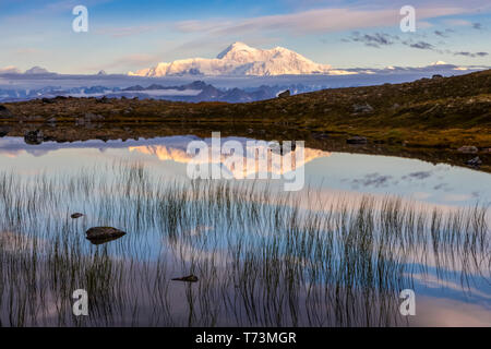 Malerischer Blick auf die Südseite des Denali in einem Teich entlang der Kesugi Ridge Trail, Denali State Park, South-central Alaska widerspiegelt Stockfoto