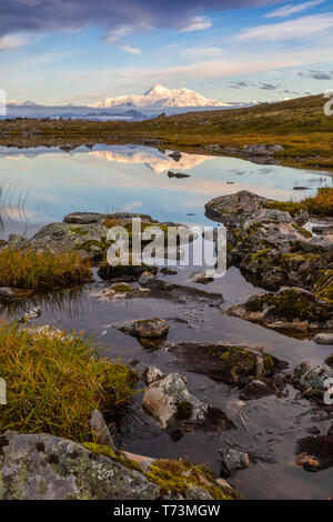 Malerischer Blick auf die Südseite des Denali in einem Teich entlang der Kesugi Ridge Trail, Denali State Park, South-central Alaska widerspiegelt Stockfoto