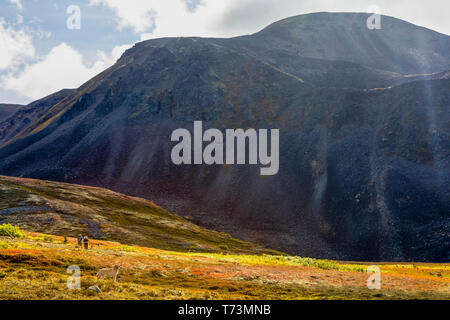 Der Mann und die Frau mit dem Rucksack in der Tundra mit Hunden auf der Kesugi Ridge Trail, Denali State Park, Southcentral Alaska; Alaska, Vereinigte Staaten von Amerika Stockfoto