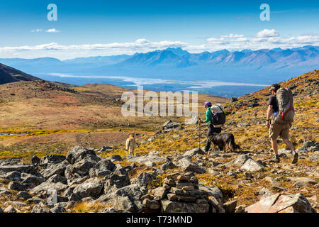 Der Mann und die Frau mit dem Rucksack in der Tundra mit Hunden auf der Kesugi Ridge Trail, Denali State Park, South-central Alaska; Alaska, Vereinigte Staaten von Amerika Stockfoto