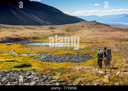 Der Mann und die Frau mit dem Rucksack auf den Herbst farbige Tundra auf der Kesugi Ridge Trail, Denali State Park, South-central Alaska Stockfoto