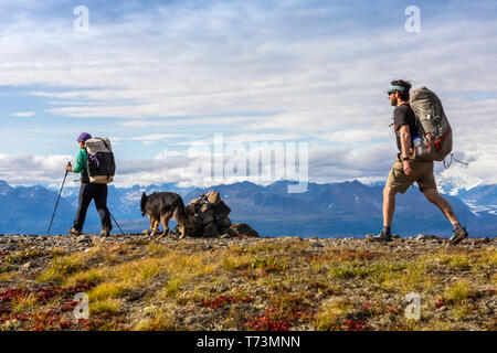 Frau mit Trekking und Hund pass rock Cairn als Mann auf der Kesugi Ridge Trail, Denali State Park, South-central Alaska folgt Stockfoto