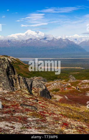 Frau und Mann sind mit ihren Hunden auf der Tundra entlang des Kesugi Ridge Trail, Denali State Park, an einem sonnigen Herbsttag mit Denali und dem... Stockfoto