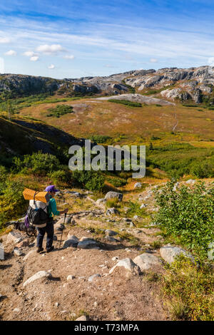 Frau wandern entlang der Kesugi Ridge Trail, Denali State Park, Alaska an einem sonnigen Tag im Herbst, South-central Alaska Stockfoto