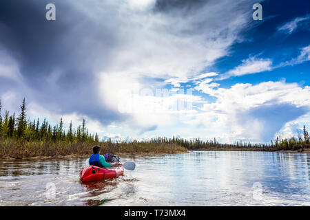 Frau packrafting nach Beaver Creek, National Wild und Scenic Rivers System, White Mountains National Recreation Area, Interior Alaska Stockfoto