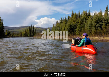 Frau packrafting nach Beaver Creek, National Wild und Scenic Rivers System, White Mountains National Recreation Area, Interior Alaska Stockfoto