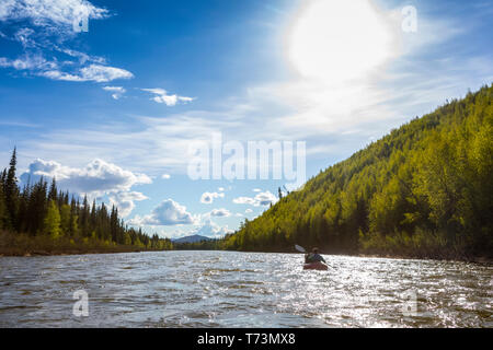 Frau packrafting nach Beaver Creek, National Wild und Scenic Rivers System, White Mountains National Recreation Area, Interior Alaska Stockfoto