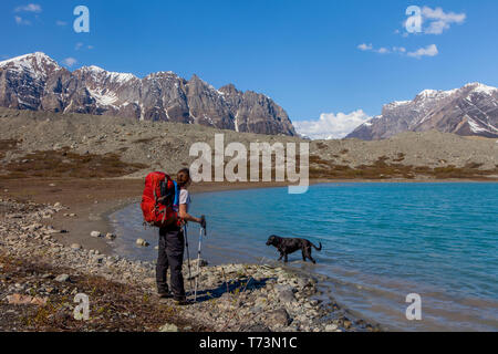 Frau mit Rucksacktouristen, die den Blick auf die Wrangell Mountains genießen, während ihr Hund in einem der Donoho Lakes, Donoho Lakes Loop, Wrangell-St... Stockfoto