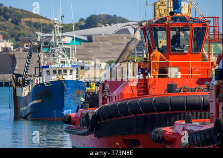 Schlepper im Hafen, Port Wellington, Wellington, Neuseeland Stockfoto