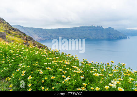 Landschaft in der Nähe von Oia Santorini, mit schroffen Klippen mit wild wachsenden Blumen mit Blick auf eine große Caldera, Griechenland mit Wasser gefüllt. Stockfoto