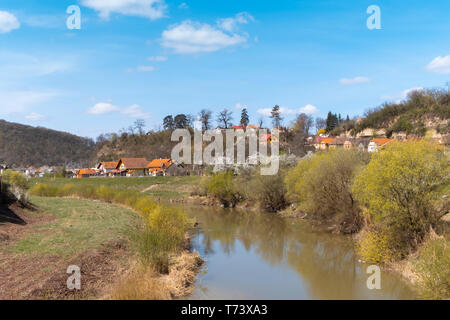 Frühling Landschaft mit dem Fluss Tarnava Mare laufen durch die Stadt von Sighisoara. Kleine Häuser mit orangefarbenen Dächer und blühende Bäume Stockfoto