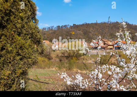 Frühling Landschaft mit dem Fluss Tarnava Mare laufen durch die Stadt von Sighisoara. Stockfoto