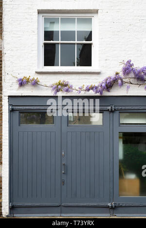 Wisteria auf Bauernhof Mädchen cafe Wand in der Portobello Road, Notting Hill, London, England Stockfoto