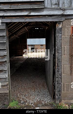 Alte Scheunen und Ställe am oberen Venn Fram, Herefordshire 27/4/19. Stockfoto